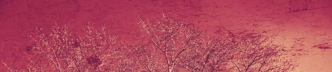 abstract violet and burgundy colors background