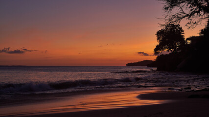 Naklejka na ściany i meble Tree silhouette against amazing sunset over the ocean on Contadora island, Panama