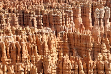 collection of hoodoos