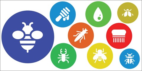 bee icon set