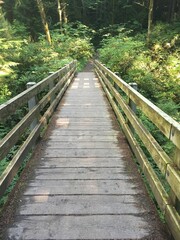 Mossing bridge on PooPoo trail