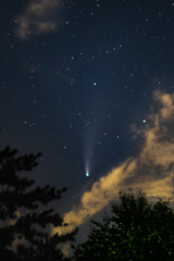 Celestial Comet Neowise with Trees and Clouds
