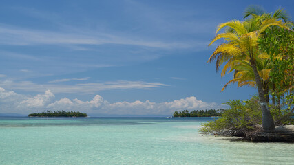 Fototapeta na wymiar Coconut trees on uninhabited islands, archipelago San Blas, Panama.