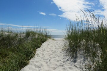 Sand dunes on the beach in Atlantic coast of North Florida