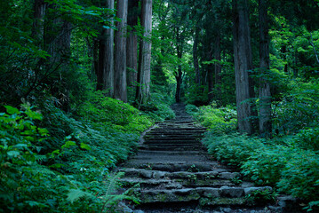 緑の木立と石段の風景２