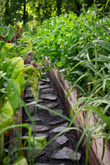 Stone Path through Raised Garden Beds