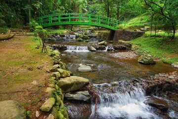 Fototapeta na wymiar Beautiful bridge over the river in the middle of the green forest. Nature and outdoor content. 