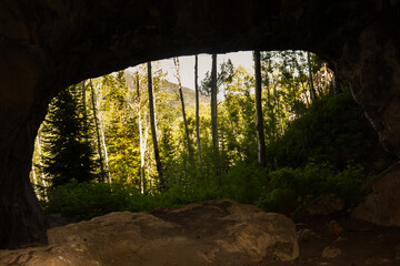 Cave in the Woods
