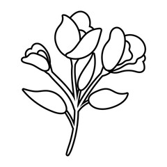 beautiful roses flowers and leafs garden line style icon