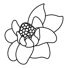 beautiful flower and leafs garden line style icon