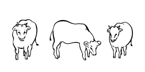 丑の手描き線画