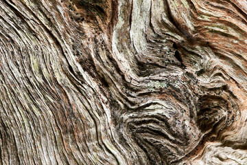 Old weathered wood-grain texture background.