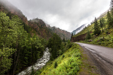 Landscape with the mountain river Chibitka. altai republi