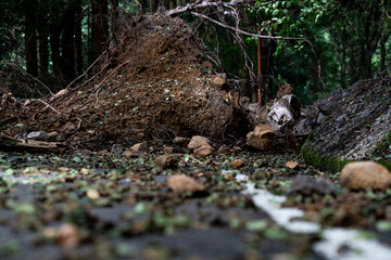 土砂崩れで通行止めになった道