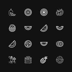 Editable 16 watermelon icons for web and mobile