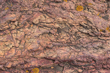 Rock for the backdrop. Colors - red, orange, brown. Yellow lichen. Cracks are covered with earth.