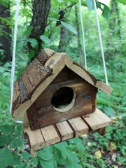 Bird feeder house on a branch