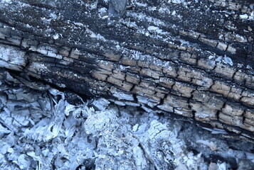 The wood remains were burnt to black