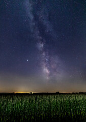 Milky Way Maize - The Milky Way Galaxy arcs through a starry summer night sky over an Indiana cornfield. - 367243600