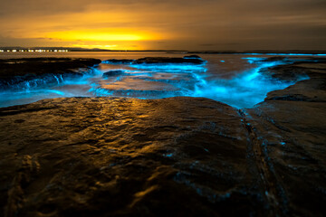 Obraz premium Bioluminescence, Jervis Bay, Australia