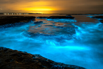 Bioluminescence, Jervis Bay, Australia