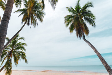 Fototapeta premium Tropical nature clean beach and white sand in summer with sun light blue sky and bokeh background.