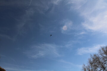 military helicopter in the sky  