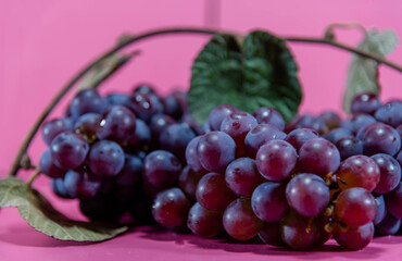 Bunch of table grape on pink background in selective focus