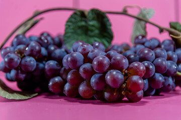 Bunch of table grape on pink background in selective focus