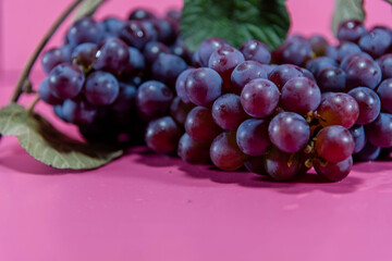 Bunch of table grape on pink background in selective focus