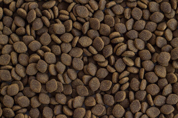 Dry,adult dog food with vitamin and chicken.Top view,background.