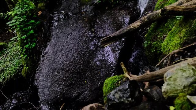 The dark water bf wild mountain river , tilt down 