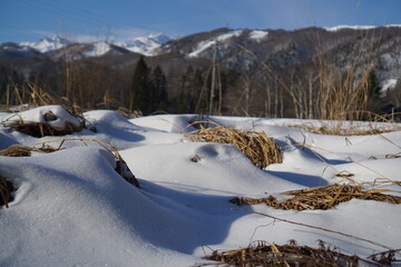 winter landscape with snow