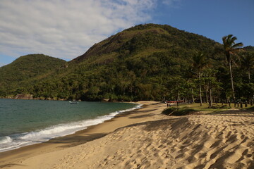tropical beach brazil