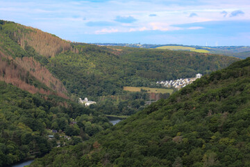 Fototapeta na wymiar Panoramablick im Mariawald in Heimbach (Eifel) in Deutschland