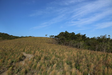 landscape with blue sky