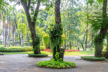 View of Lumphini Park,