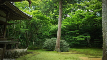 京都三千院