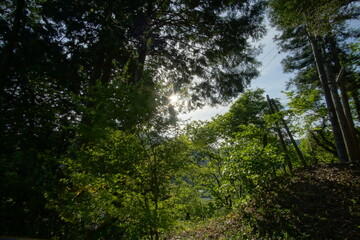 landscape of countryside in Japan