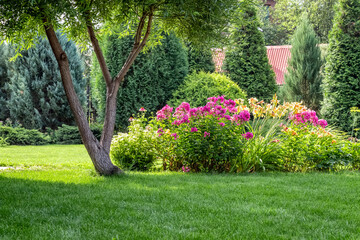 A beautiful flower bed in the backyard of a private house. - Powered by Adobe