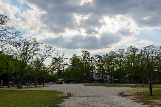 On May 13, 2020, at dusk, the number of tourists on the Nara Park Road was significantly reduced due to the declaration of a state of emergency by COVID-19.