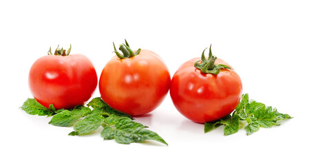 Ripe red tomatoes.