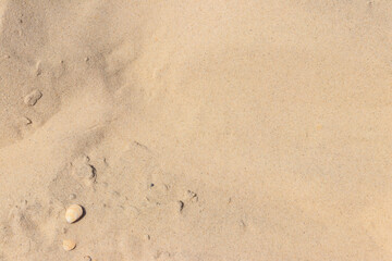 Yellow sand texture for background