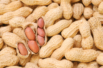 close up of peanuts