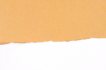 torn paper background