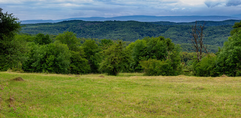 Forest and glade for walking and recreation in the summer, tourist routes in natural parks. © NAIL BATTALOV