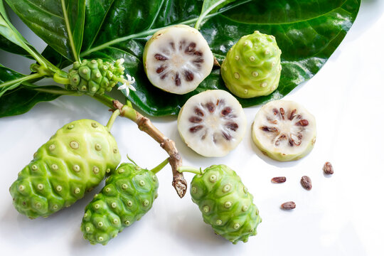 Noni fruit or Morinda Citrifolia and noni slice with seed and green leaves of the noni isolated on white background.