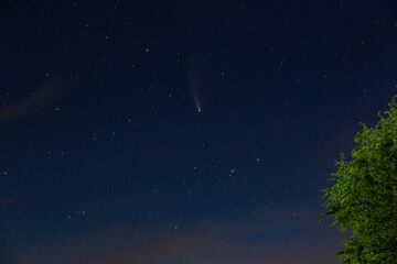 The comet neowise flies in the sky.