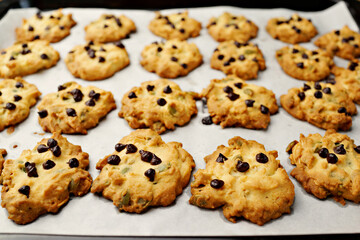 Freshly baked homemade chocolate chip butter ookies on baking tray.