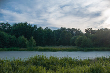 Fototapeta premium small river in the forest. A small river in the countryside. Stream in the field